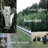 Аудиокнига Кенотафия, или Необычное путешествие по России