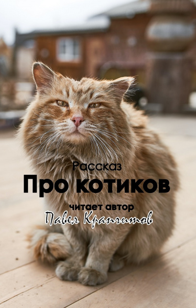 Аудиокнига Про котиков