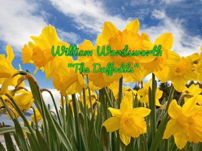 The Daffodils (Жёлтые нарциссы)